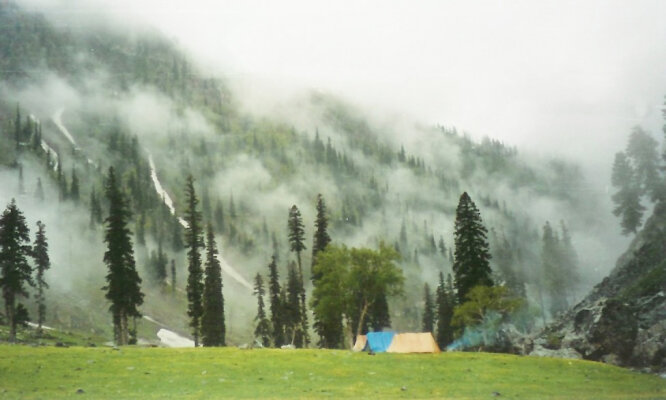 Entstehung von Purewonder Teil 1 - Entstehung von Purewonder Teil 1