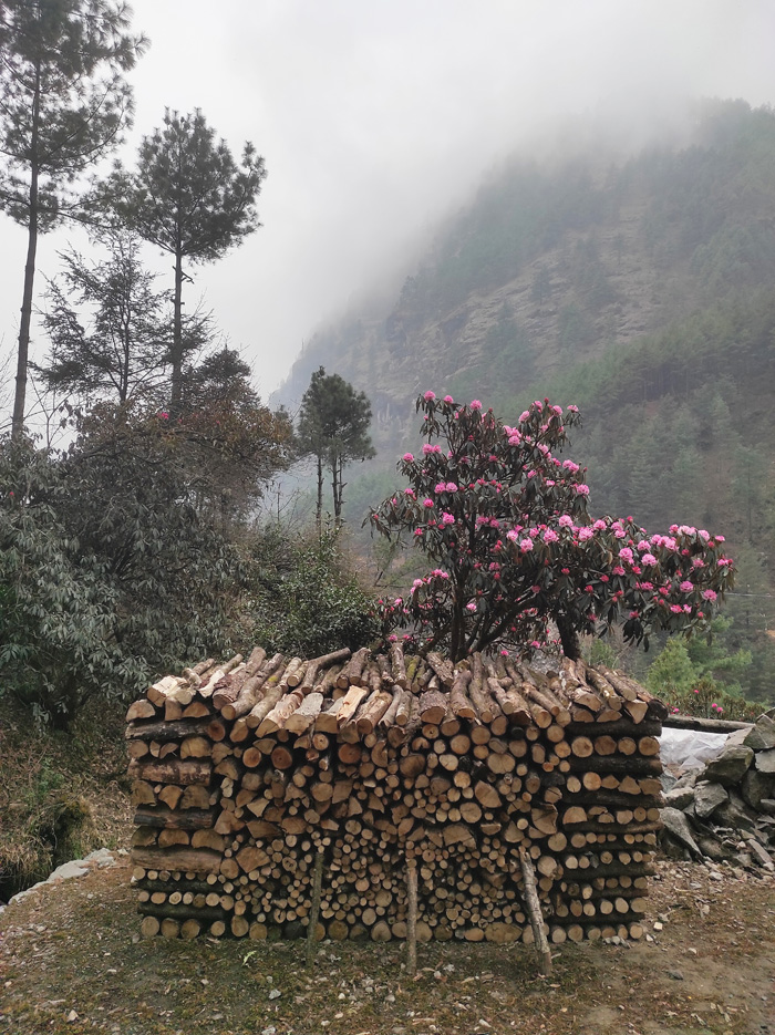 Everest Basecamp Trek 1