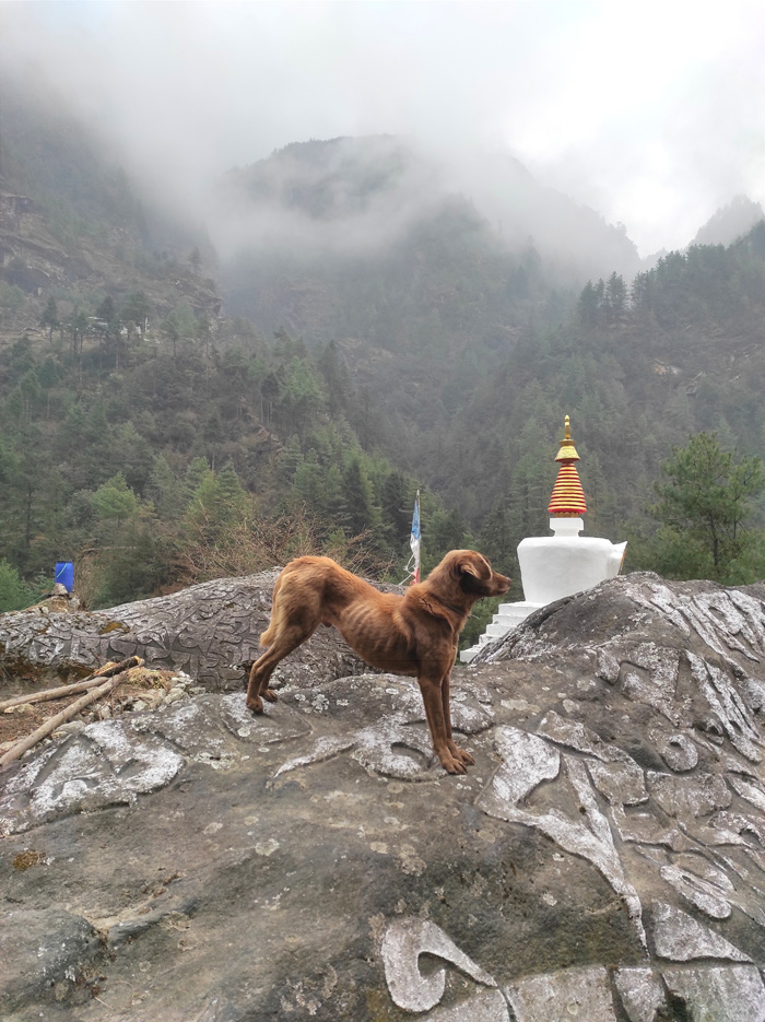 Enerest Basecamp Trek 2