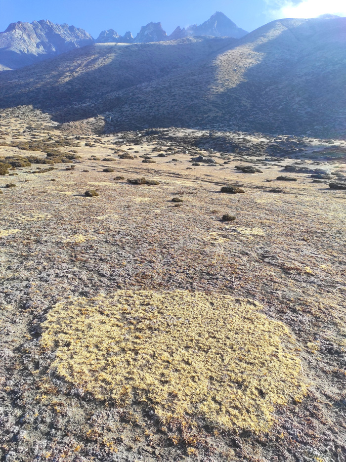 Enerest Basecamp Trek 2